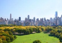 Top 10 Outdoor Activities in New York City