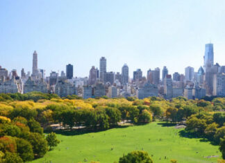 Top 10 Outdoor Activities in New York City