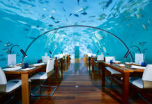 10 Most Expensive Restaurants In The World