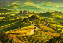 Italy’s Best Wine Regions
