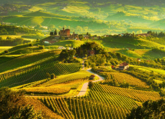 Italy’s Best Wine Regions