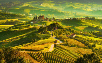 Italy’s Best Wine Regions