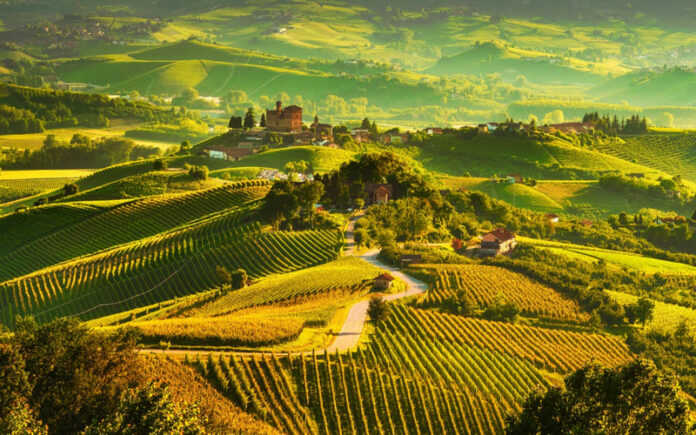 Italy’s Best Wine Regions
