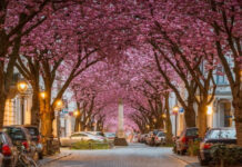 10 Most Beautiful Flowered Streets In The World