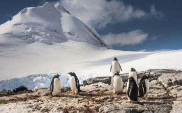 Once-in-a-Lifetime Destinations