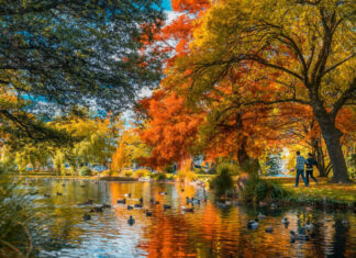 8 Incredible Fall Vacations