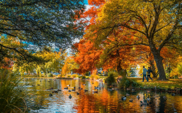 8 Incredible Fall Vacations